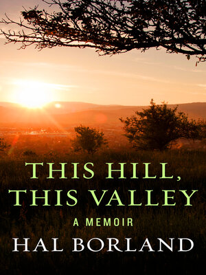 cover image of This Hill, This Valley